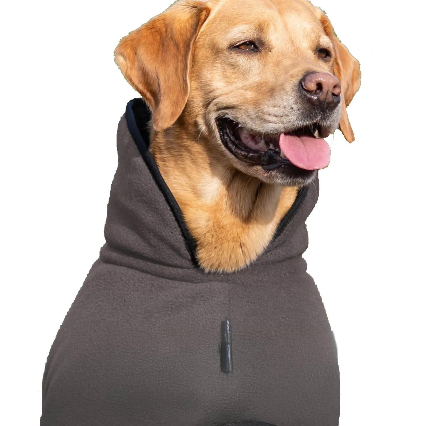 Actionfactory Hundecape Warmup Classic (Mocca)