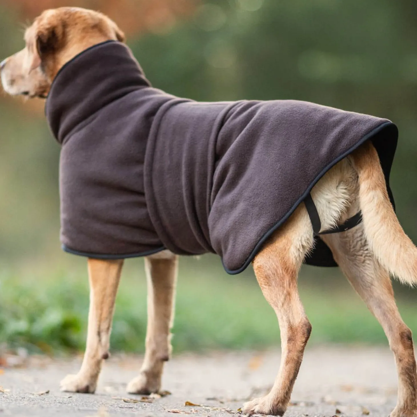 Actionfactory Hundecape Warmup Classic (Mocca)
