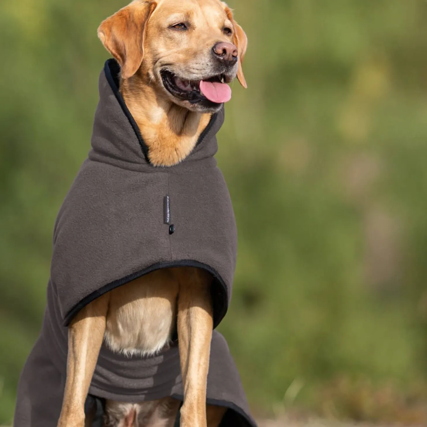 Actionfactory Hundecape Warmup Classic (Mocca)
