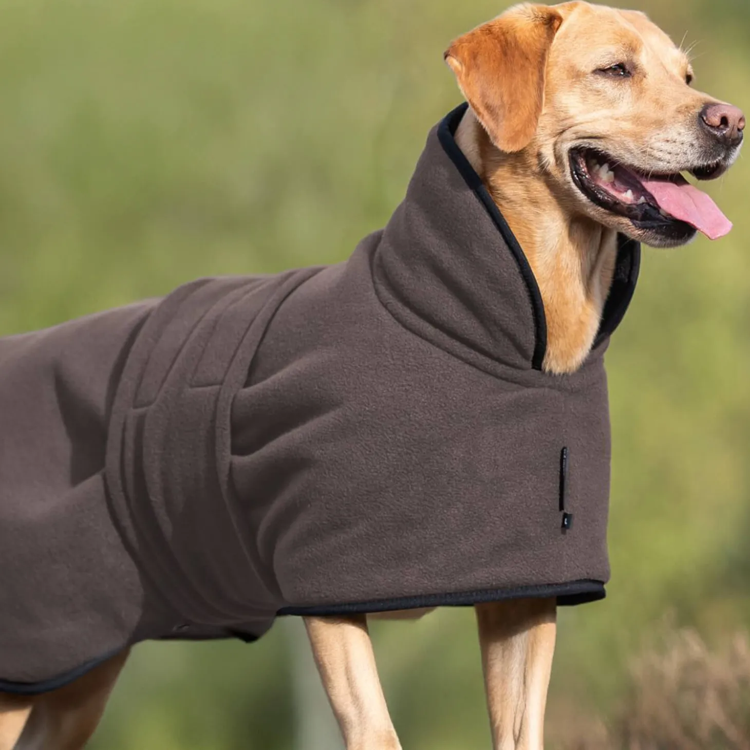 Actionfactory Hundecape Warmup Classic (Mocca)