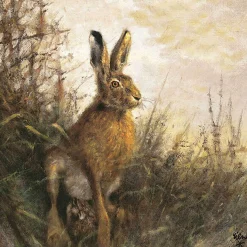 AKAH Servietten Hase