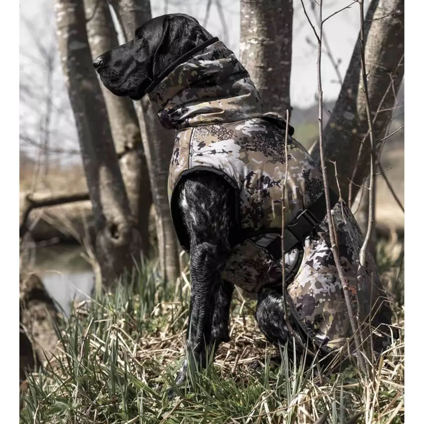 Blaser Hundeponcho (HunTec)