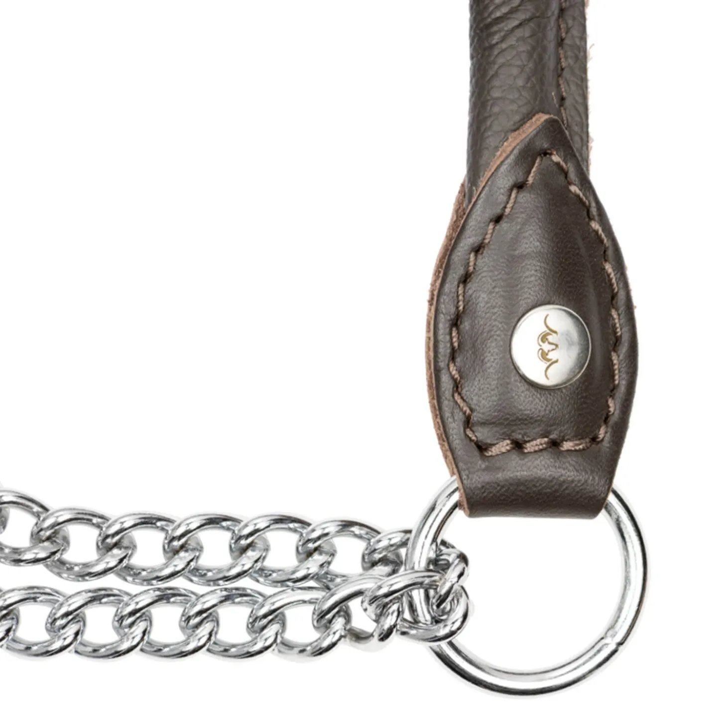 Blaser Leder Hundehalsung (Braun)