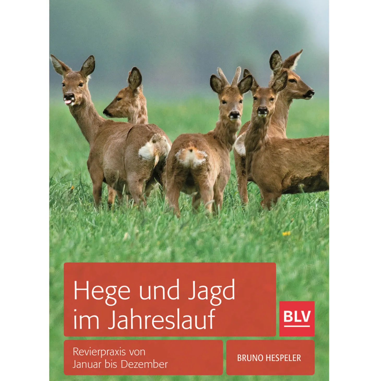 BLV Buch Hege und Jagd im Jahresverlauf