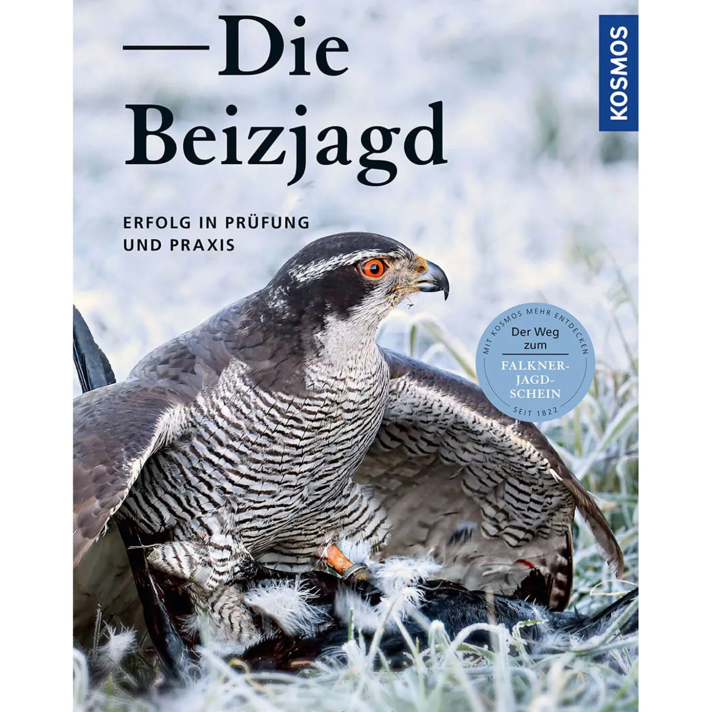Die Beizjagd - Buch - Elisabeth Leix