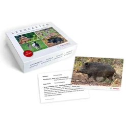 Heintges Lernkartensatz Ansprechen von Schalenwild