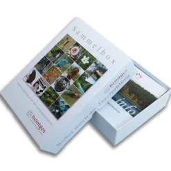 Heintges Sammelbox Klein