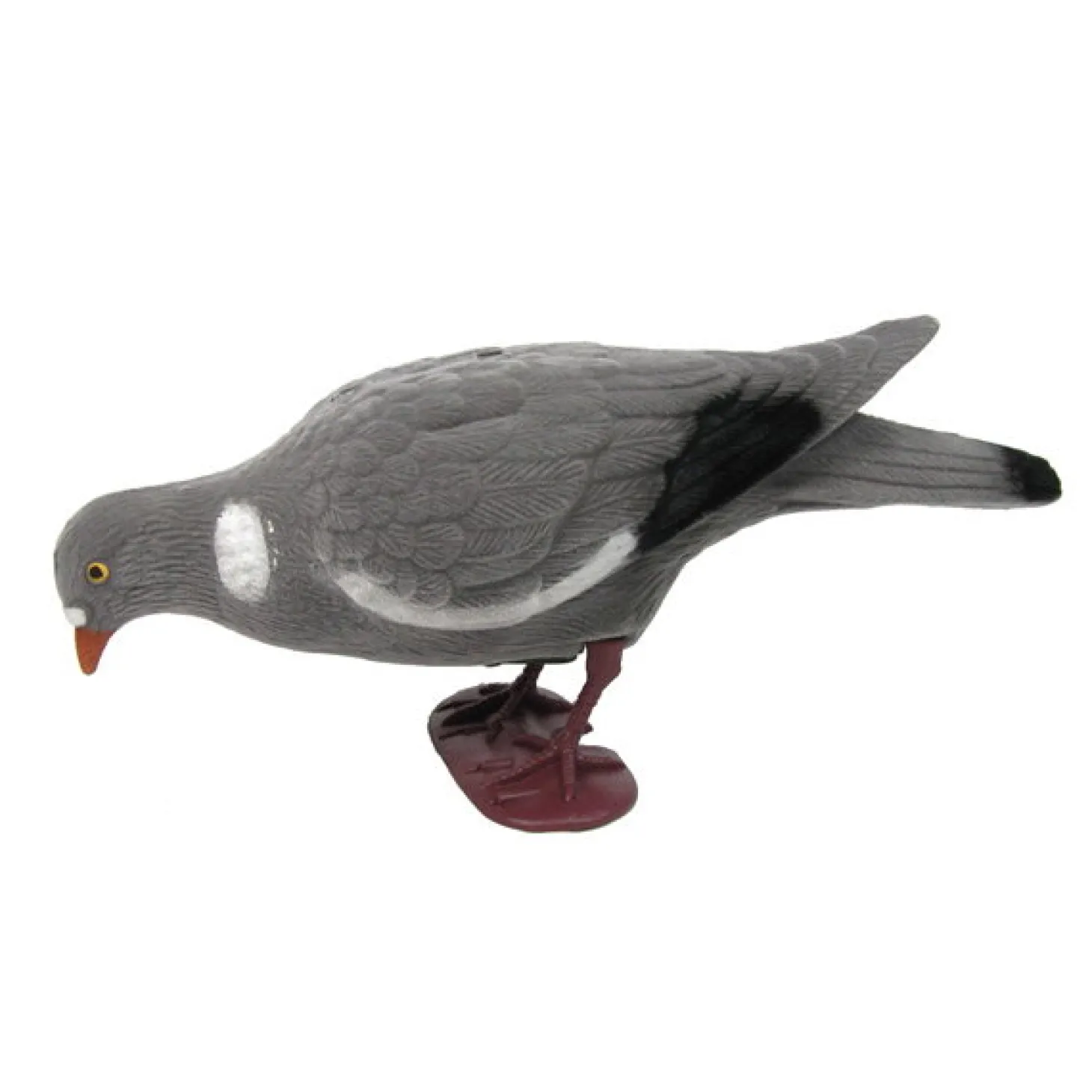 Lockvogel Taube