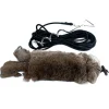 Mystique Running Rabbit
