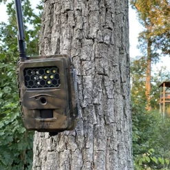 Seissiger Wildkamera Special-Cam LTE Weißblitz Supersim