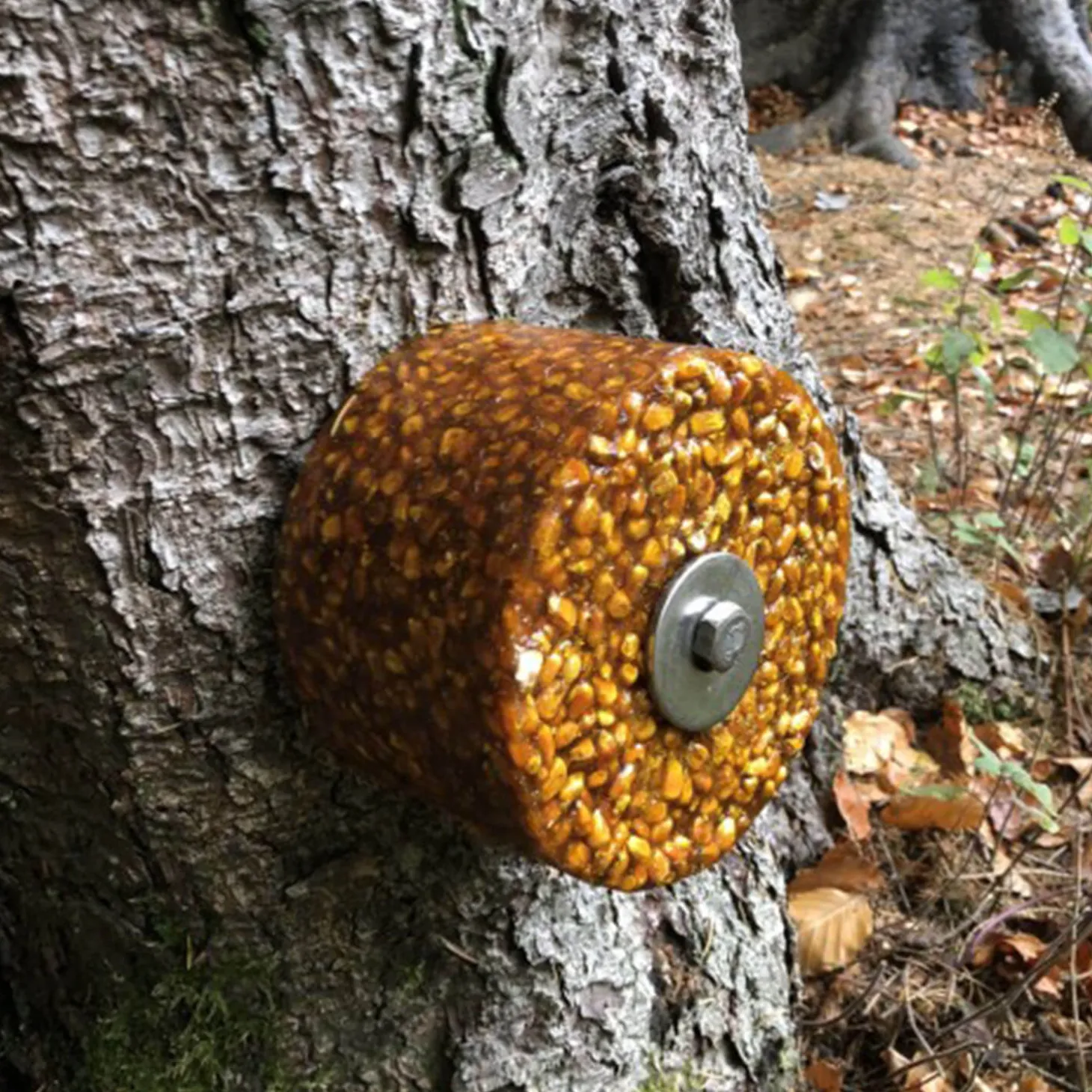 Wildlutscher Baum-Befestigungsset für Lecksteine